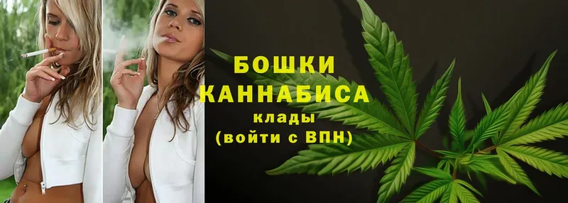 купить  цена  Исилькуль  Бошки Шишки план 